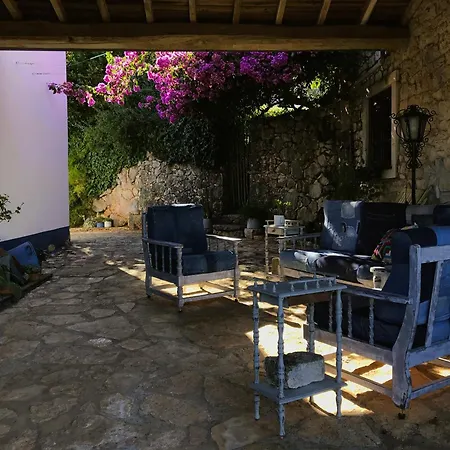 Casa rural Lili's - Local *