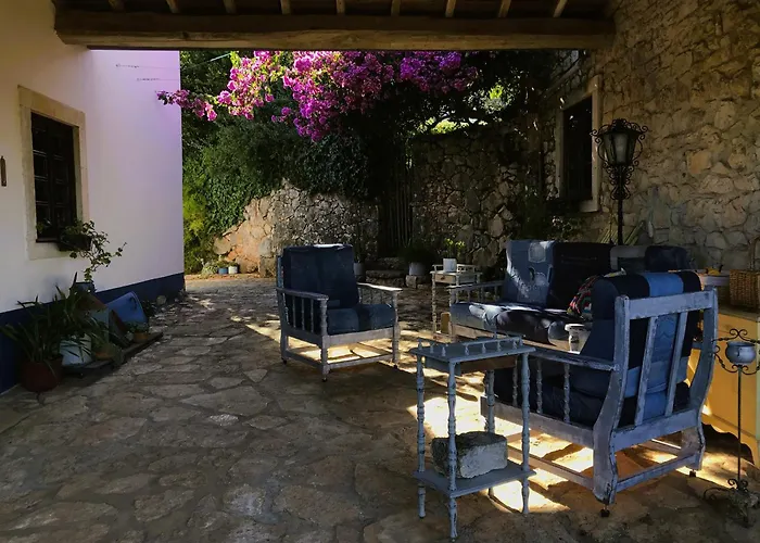 Landsted Lili's - Local *